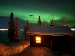 Northern Light Cabin with sauna - Paradise Lapland, Kiruna